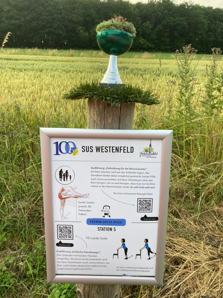 008c5b2a 69c8 442f 958d 9f53f5aade25